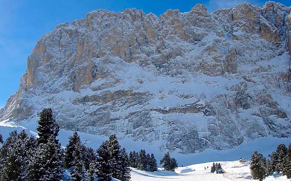 Hotel Gardena Grödnerhof