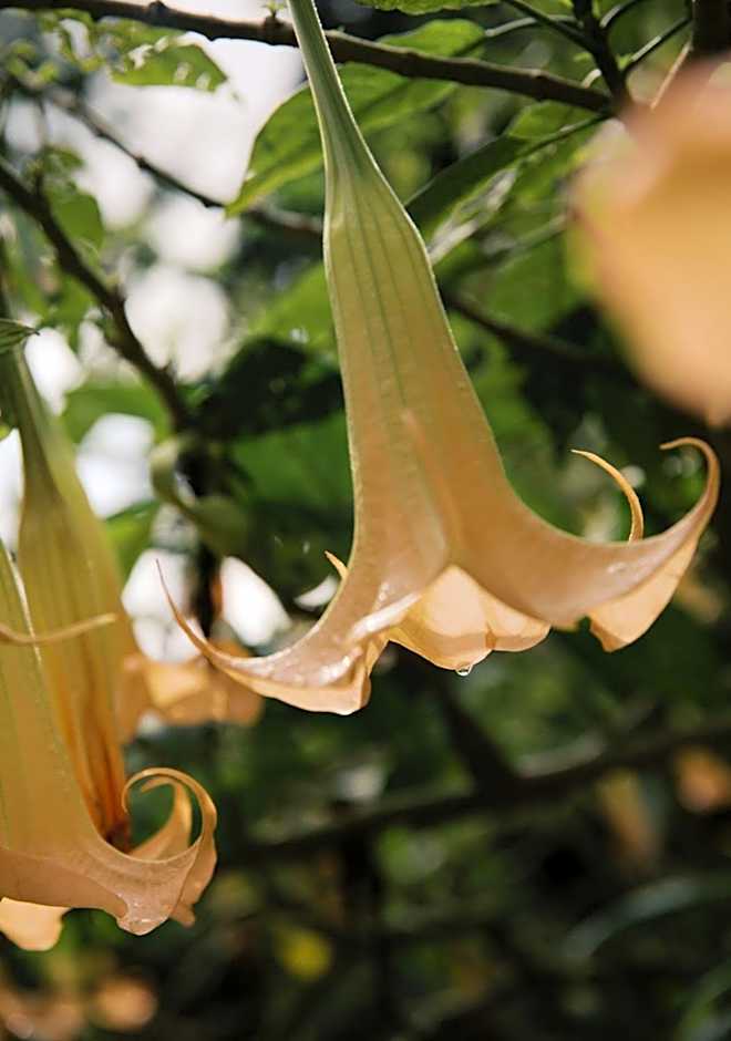 Tulia Boutique Hotel & Spa