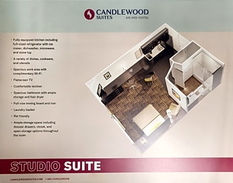 1 Queen Studio Suite Mobil Access Tub