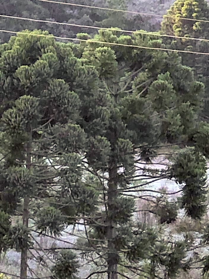 Pousada Pedra da Mata chales na montanha