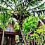 Kubu Artha Bungalow Nusa Penida