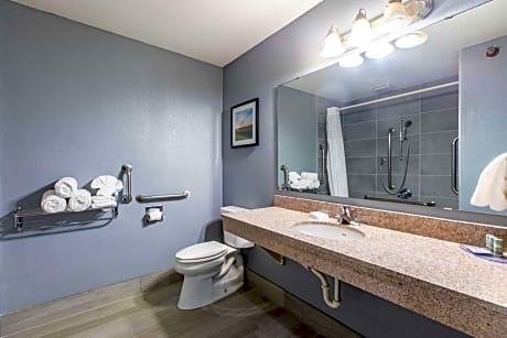 King Room with Mobility Accessible Tub - Pool Side