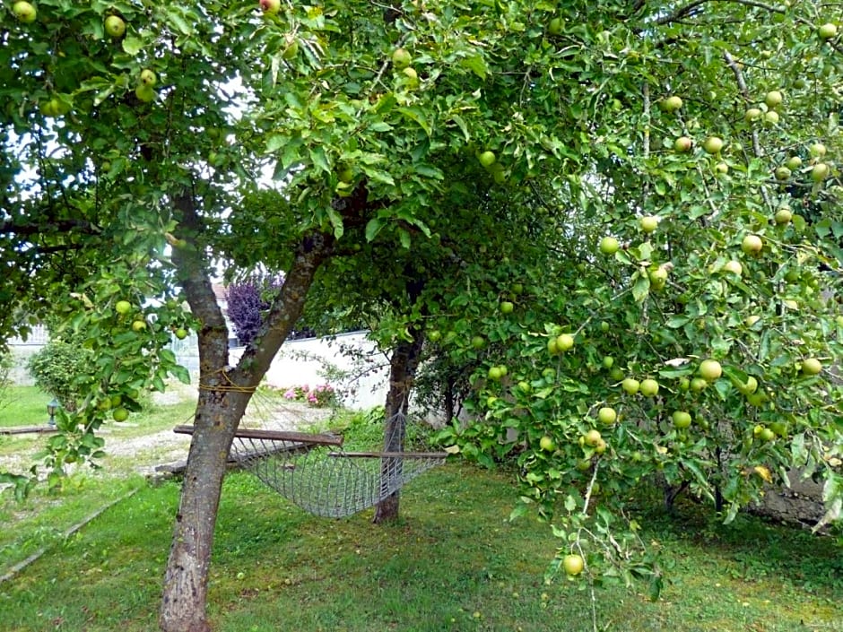 Maison Les Beaux Arts