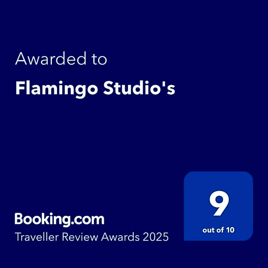 Flamingo Studio's Zeeland