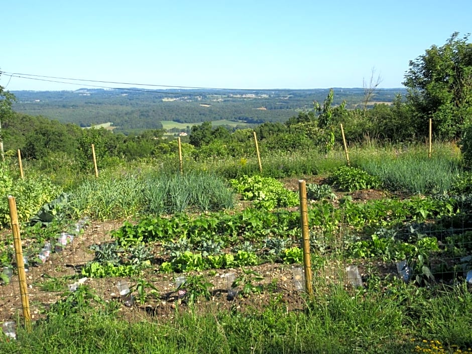 Nature et Piscine au sommet du Périgord