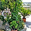 Residence Giardino del Sole