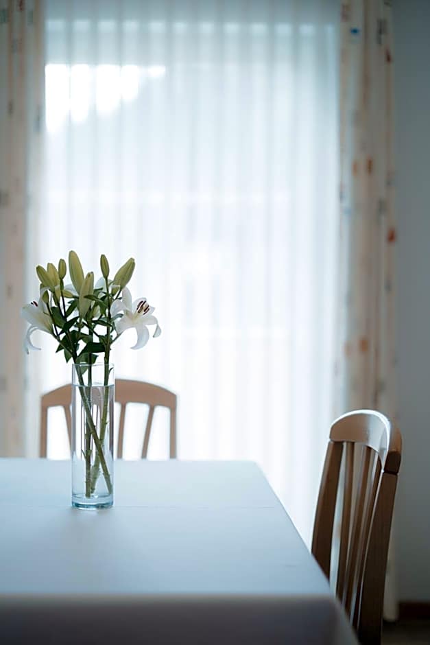 Apartment Hotel Elvis