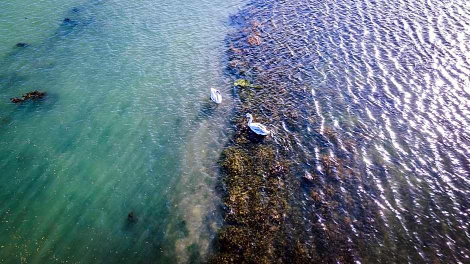 Pinkmead Estate and Vineyard