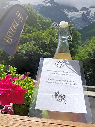 Hôtel des Alpes - Skiers & Bikers Lodge