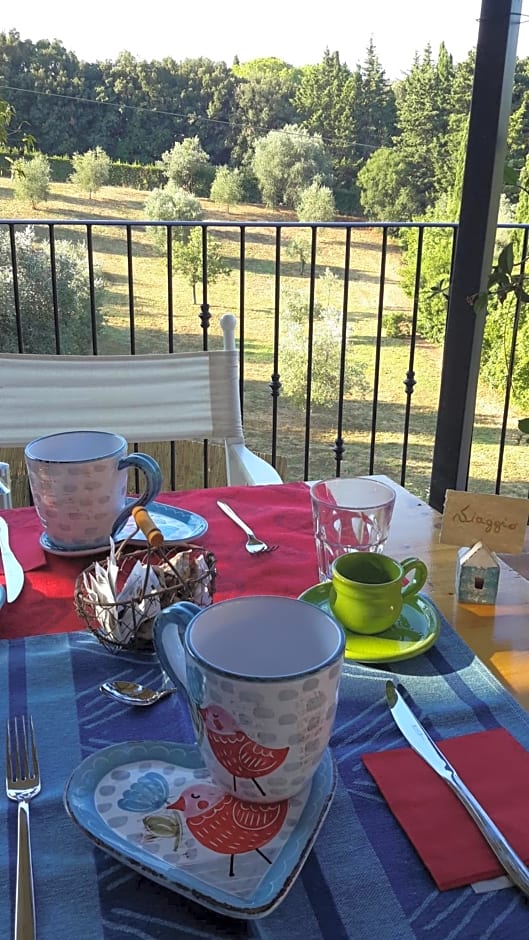 Amore a prima vista b&b