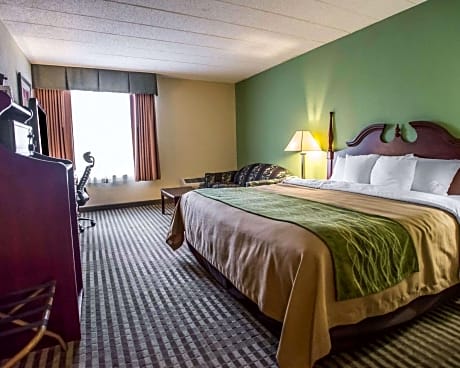 1 King Bed Suite Nonsmoking