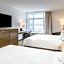 Repotel Levis