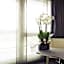 Mercure Plaza Biel
