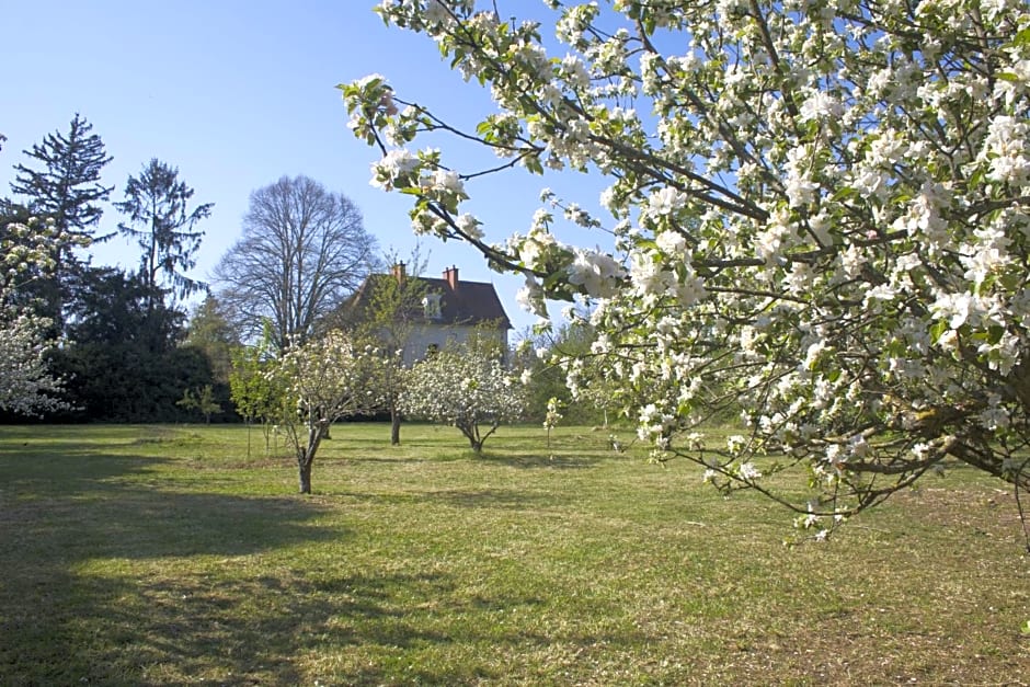 Château des Edelins