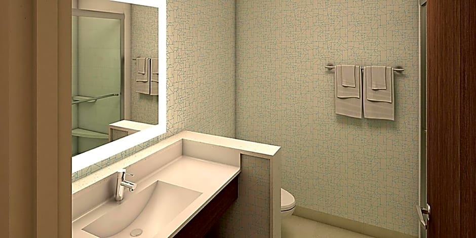 Holiday Inn Express and Suites Rock Hill By IHG