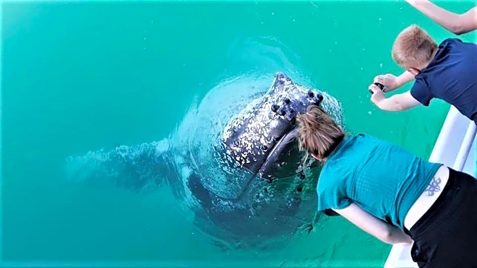 Tower Court Motel - adults only haven