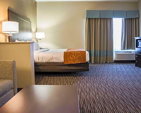 1 King Bed, Suite, Nonsmoking