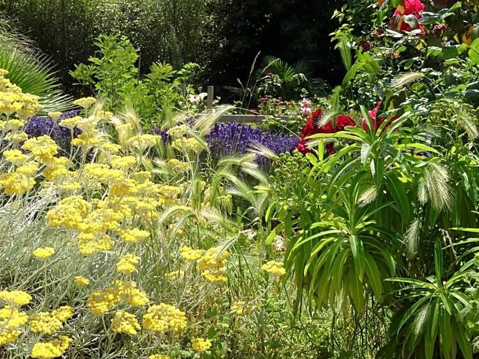 Studio "LA MEDINA", PISCINE jusqu'au 15 septembre, JARDIN BOTANIQUE, COMMERCES &MER