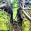 Yuraku Izu-Oshima - Vacation STAY 44742v