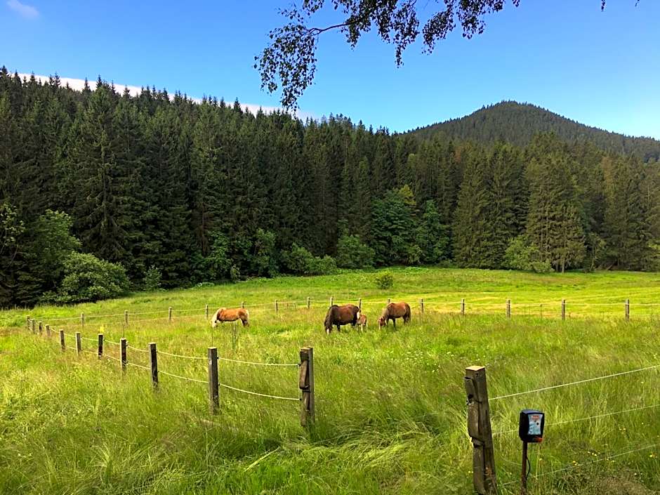Appartements und Ferienhaus Gasthof Kanzlersgrund