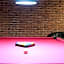 Pokoje Gościnne w WSE