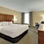 Comfort Inn Airport Roanoke