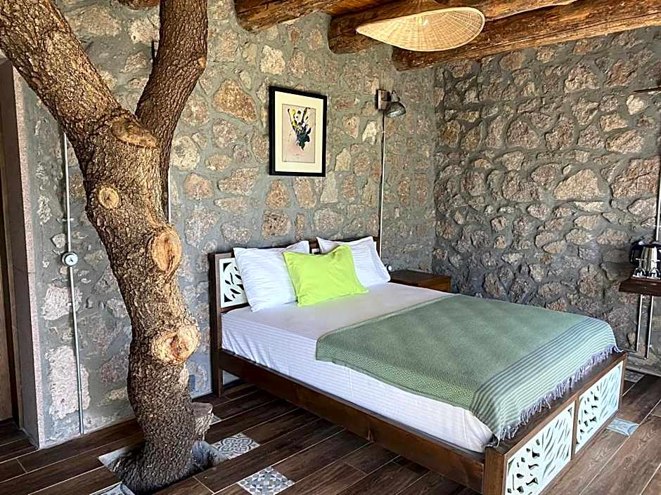 Assos Longevity Hotel