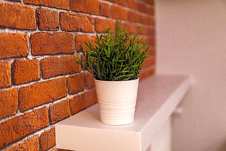 Dream Aparts - Tuwima 75