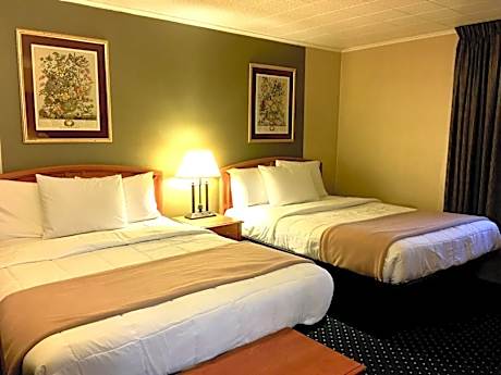 Standard Double Room with Two Double Beds