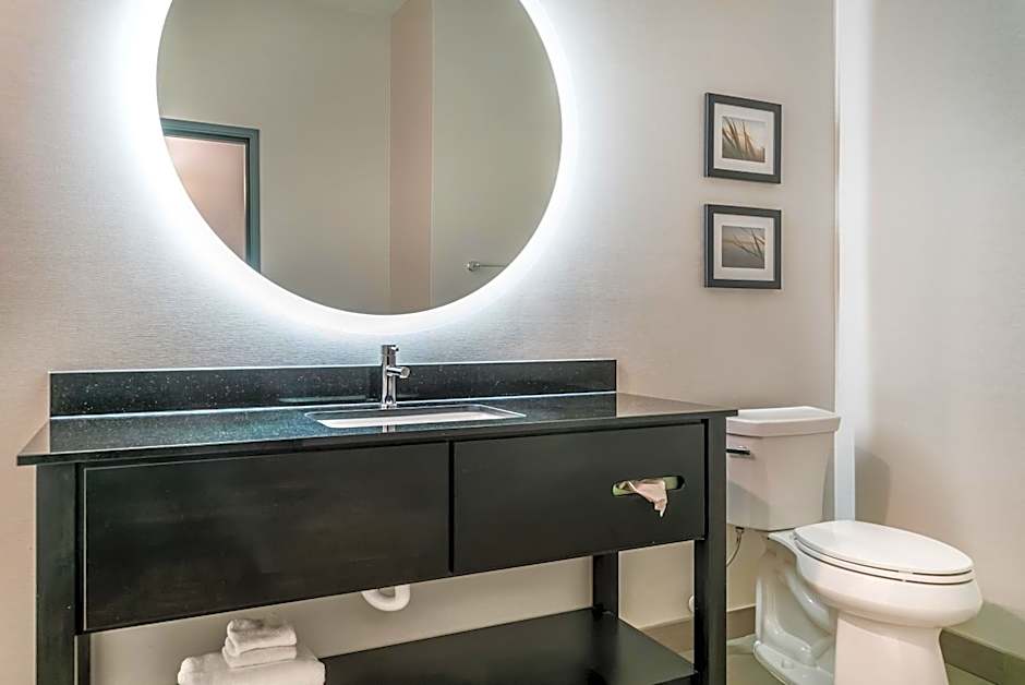 Comfort Inn & Suites Adrian