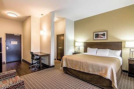 1 King Bed, Efficiency, Suite, Nonsmoking, Accessible, Upgrade