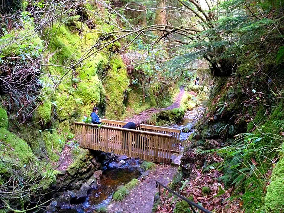 Pucks Glen Lodges, Rashfield, by Dunoon