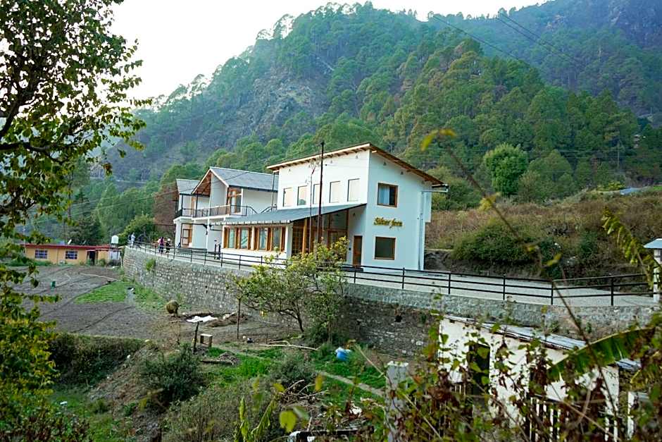 Silver fern by the Hillside