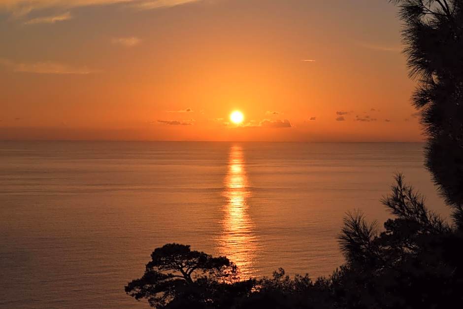 Kabak Avalon Bungalows