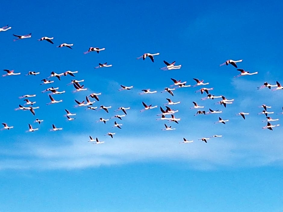 La casa di Celeste B&B