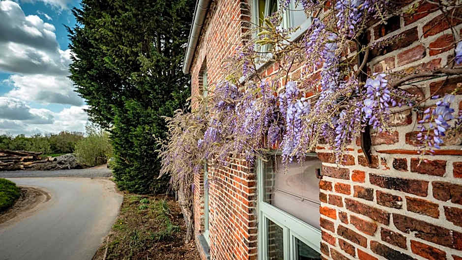 B&B Hoeve Westdijk