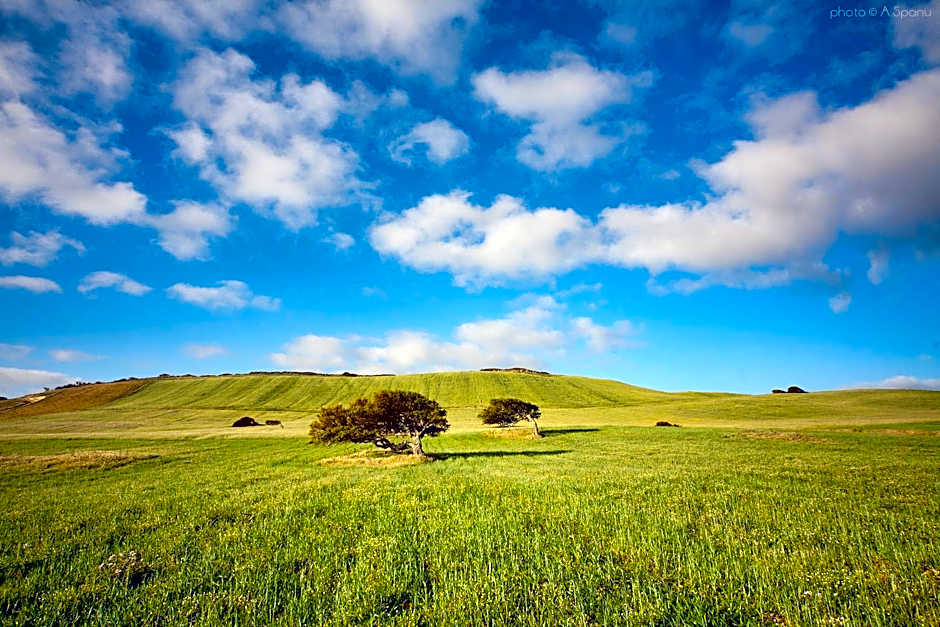 CASA SUL MARE - SARDEGNA - FreeParking FreeWifi