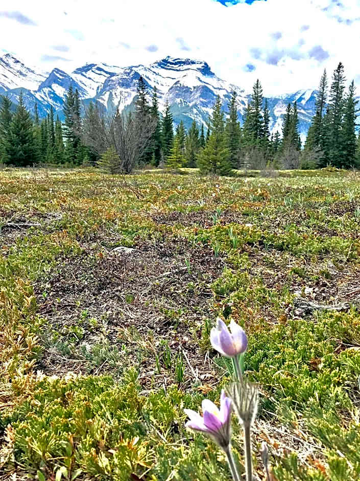 Inviting Rocky Mountain HOT TUB in Top Rated Condo managed by Little Sister Getaways