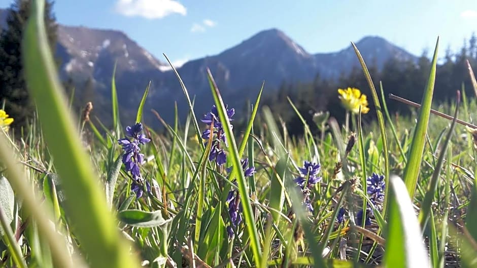 Chalúpka u Babičky