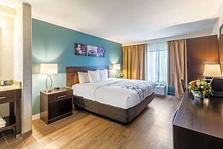 1 King Bed, Non-Smoking