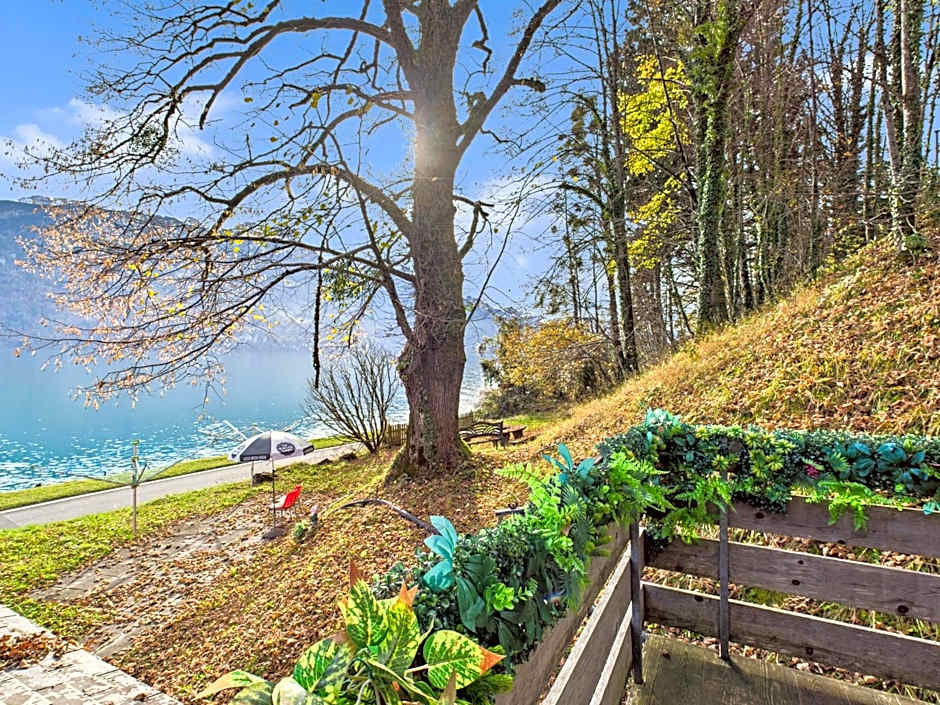 Hotel Wildbach Brienz