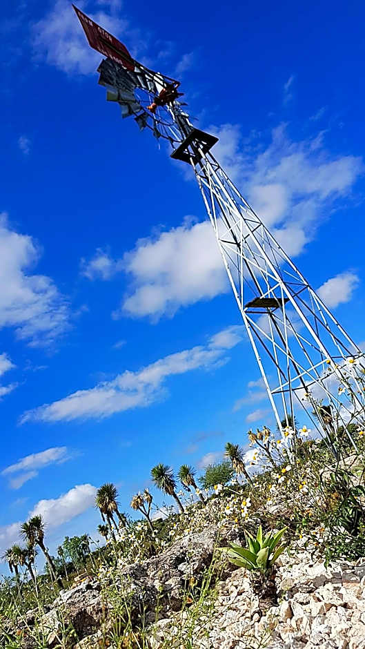 Mineral del Cielo