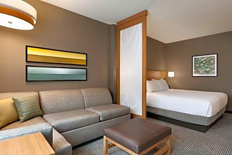 King Room with Sofa Bed and View