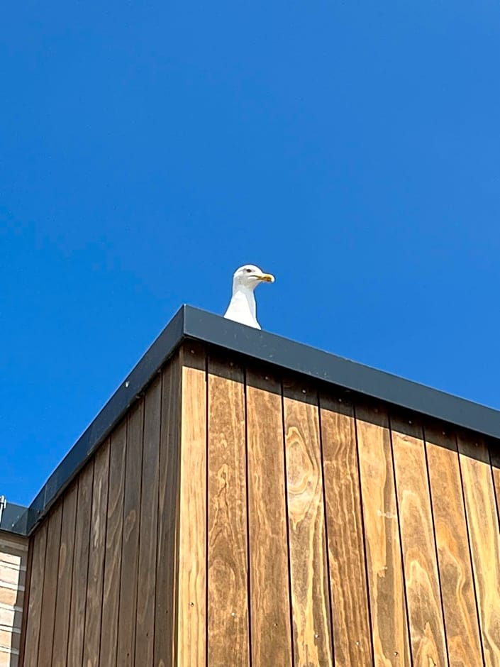 Lieblingsplatz Hotel Surf Rescue Club