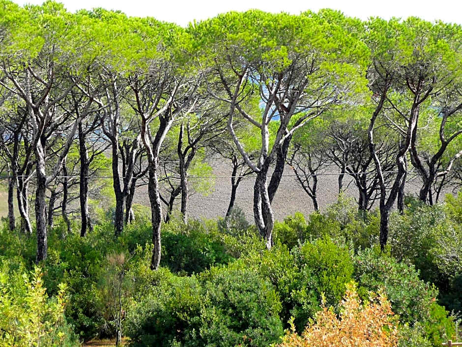 San Giorgio Country Residence