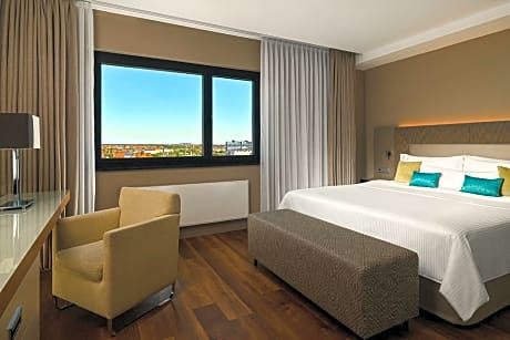 Deluxe Suite, 1 Bedroom Suite, 1 King, City view, Balcony
