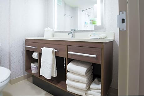 1King Accessible Roll In Shower Suite Nonsmok