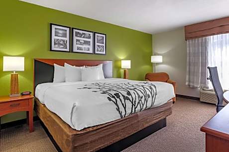 King Room - Non-Smoking