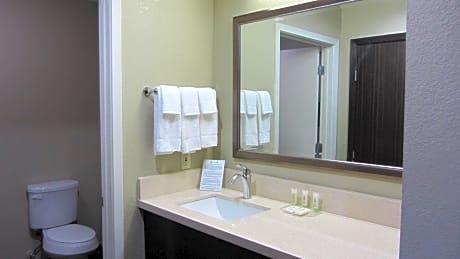 King Studio with Accessible Roll In Shower