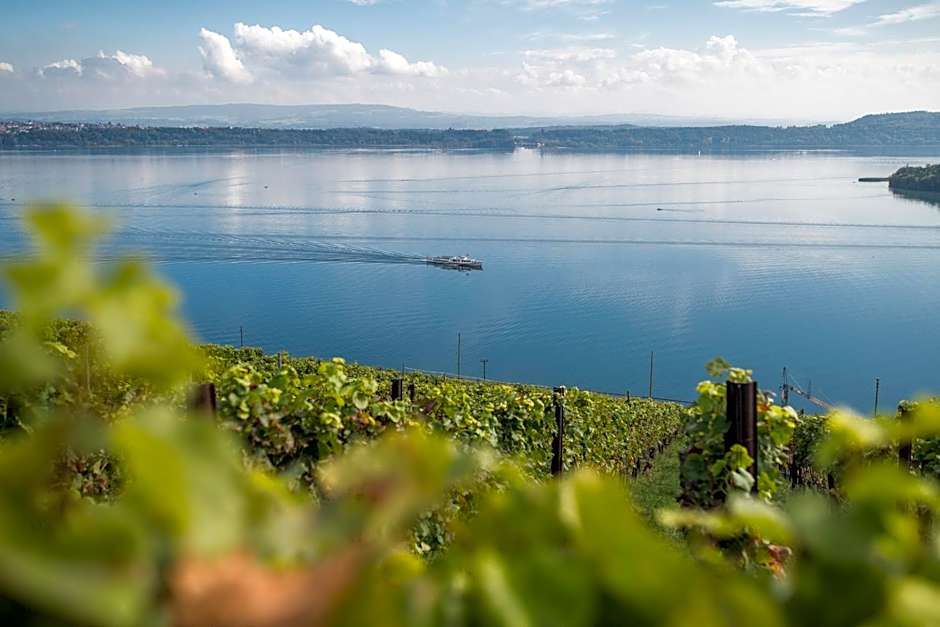 City Hotel Biel Bienne Free Parking